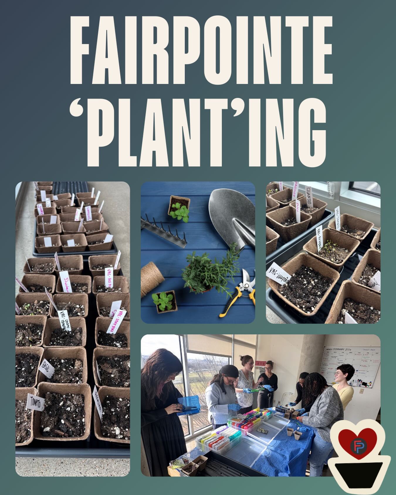 Fairpointe team members planting flowers and herbs together during a mid-day break